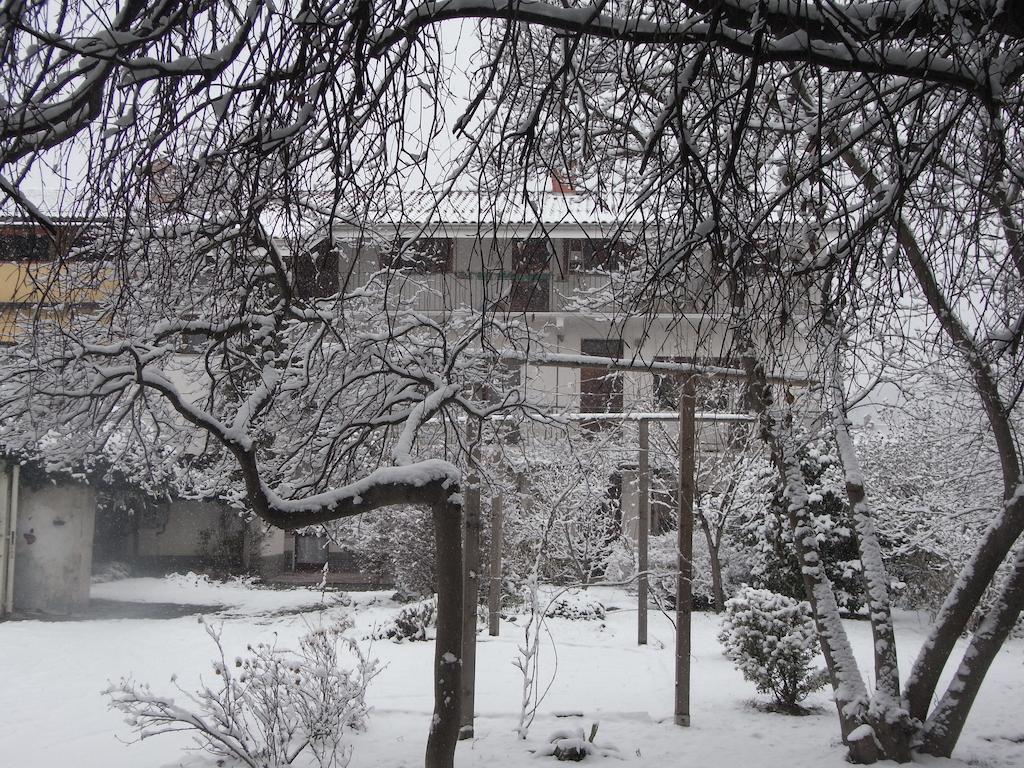B&B Casa Passito Pavone Canavese Exterior photo