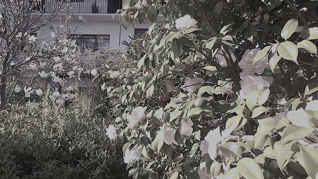 B&B Casa Passito Pavone Canavese Exterior photo